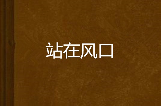 站在風口(小說)