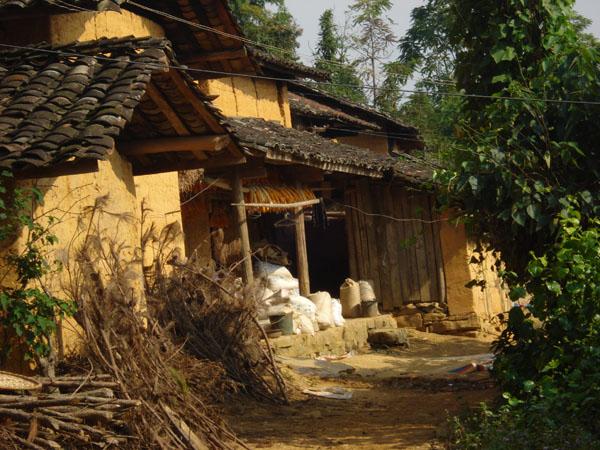 獨樹村(雲南西疇縣蓮花塘鄉下轄村)