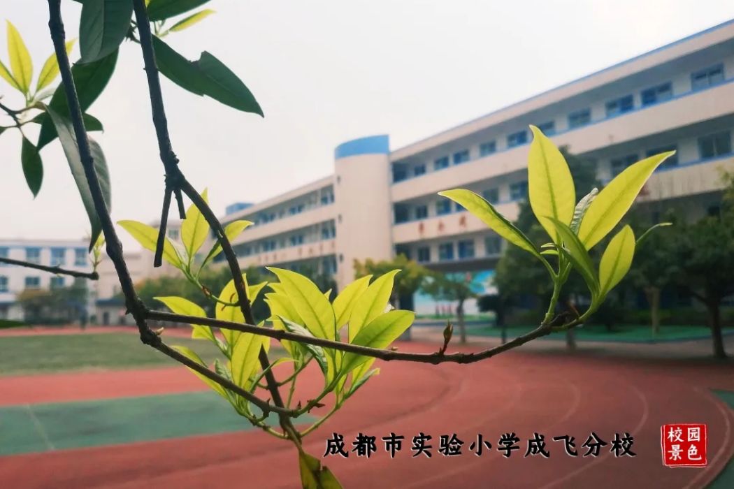 成都市成飛國小