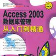 Access2003資料庫管理從入門到精通