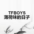 TFBOYS薄荷味的日子