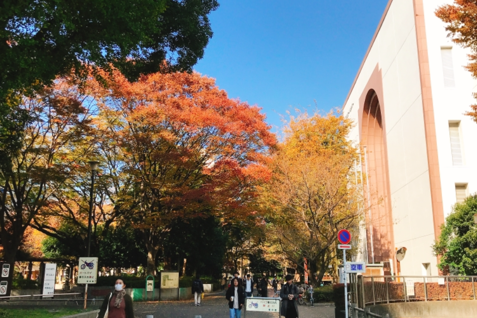 戶山公園