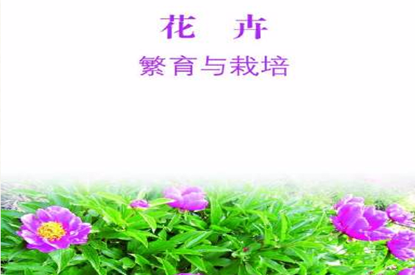 花卉繁育與栽培（上、下）