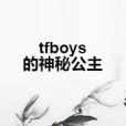 tfboys的神秘公主