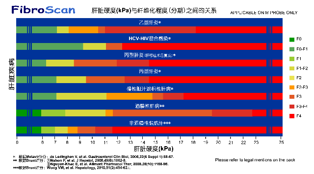 FibroScan檢查結果