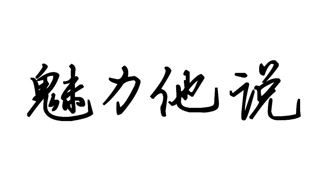 魅力他說