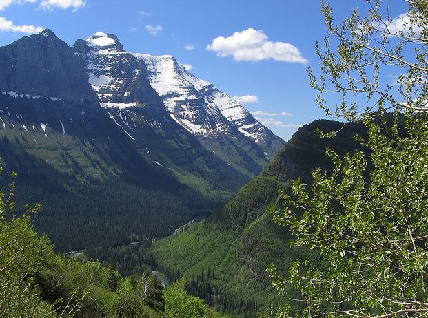 美國落基山高山凍原(地理區域)