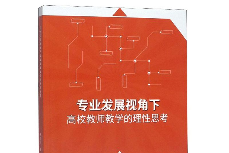 專業發展視角下高校教師教學的理性思考