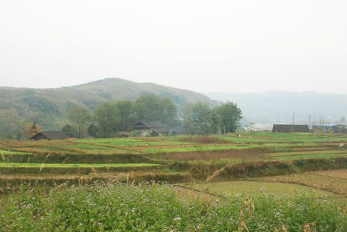 爛草坪遺址