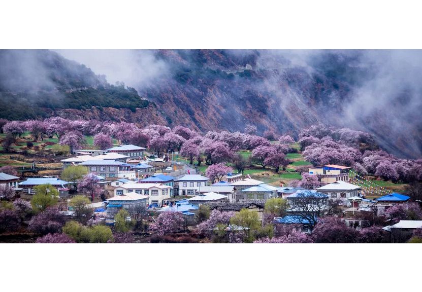 姚莊村(山東省菏澤市巨野縣田橋鎮下轄村)