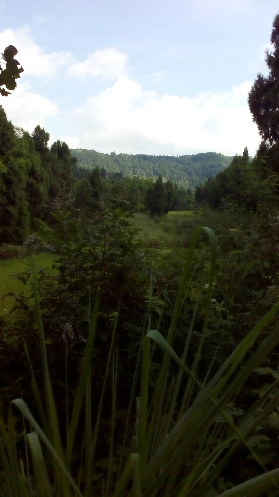 龍鳳山村