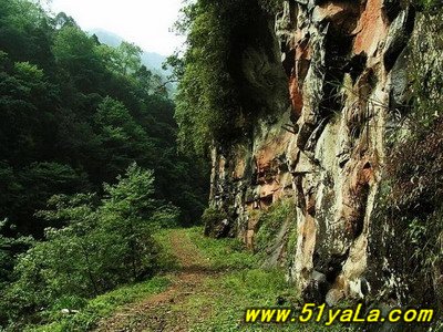 黑龍江烏龍國家森林公園