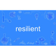 resilient(英語單詞)