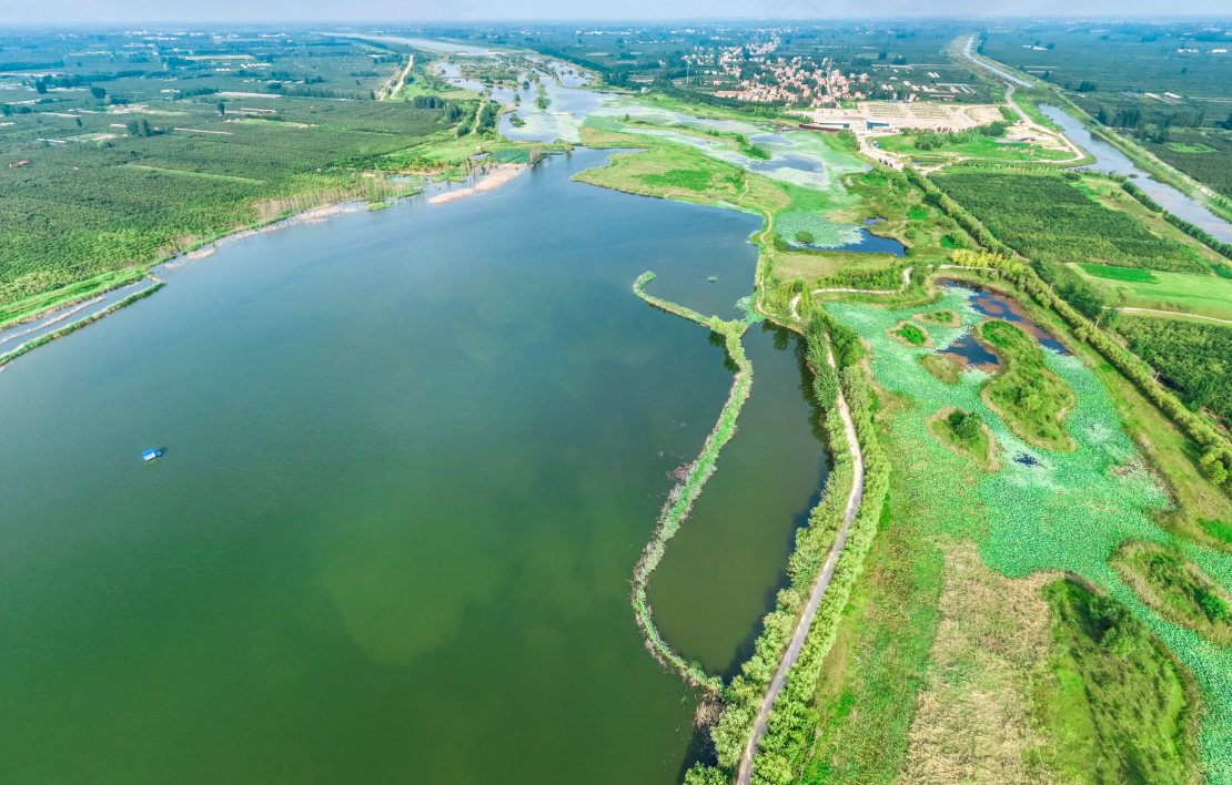 江蘇豐縣黃河故道大沙河國家濕地公園