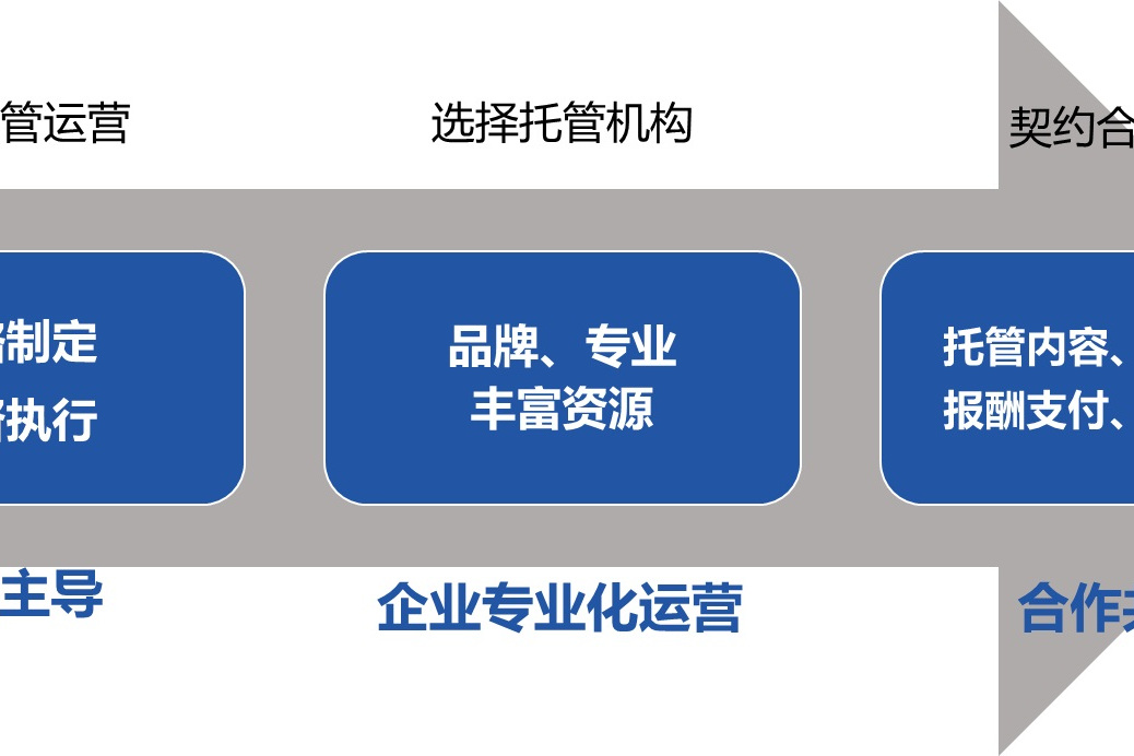 政府主導，企業專業化運營