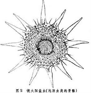 放射性標記化合物