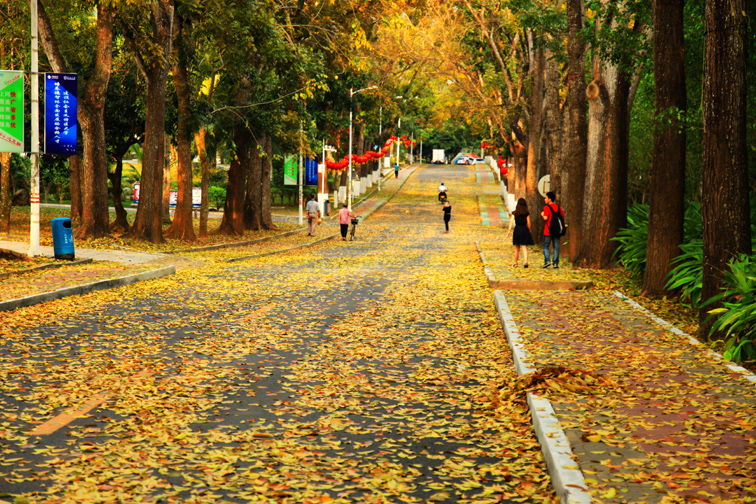 海南大學網路空間安全學院（密碼學院）