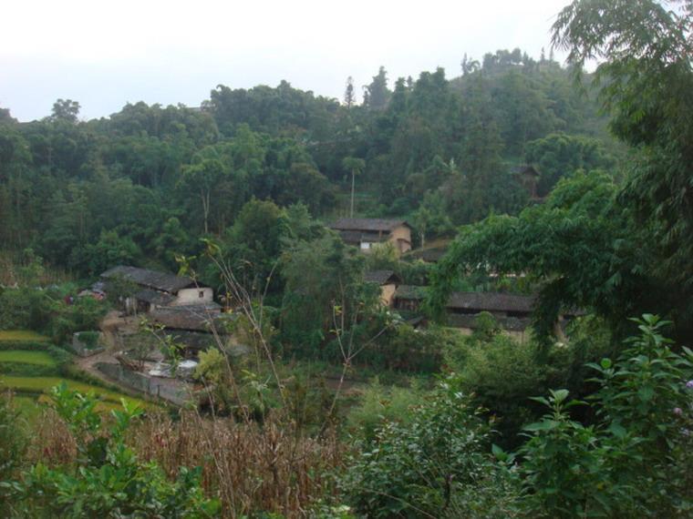 偏岩村(四川省達州市大竹縣清水鎮下轄村)