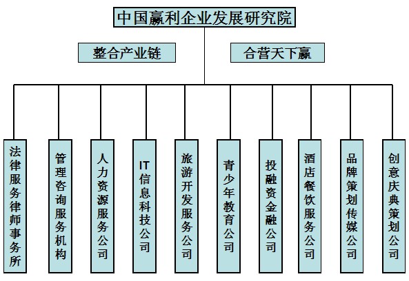 中國贏利型企業發展研究