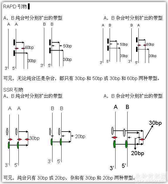 顯性標記