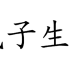 戊子生日