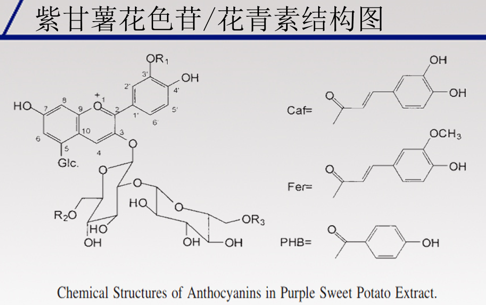 紫甘薯花青素