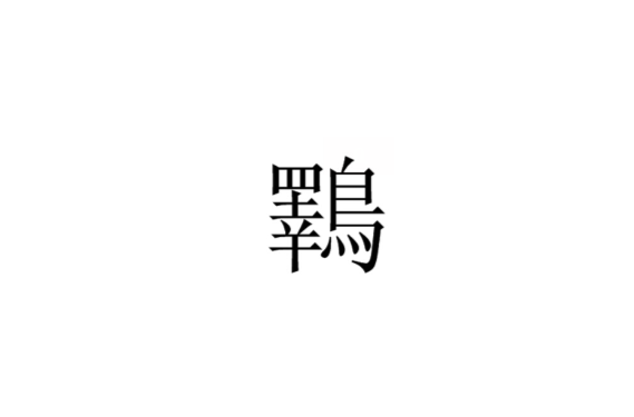 鸅