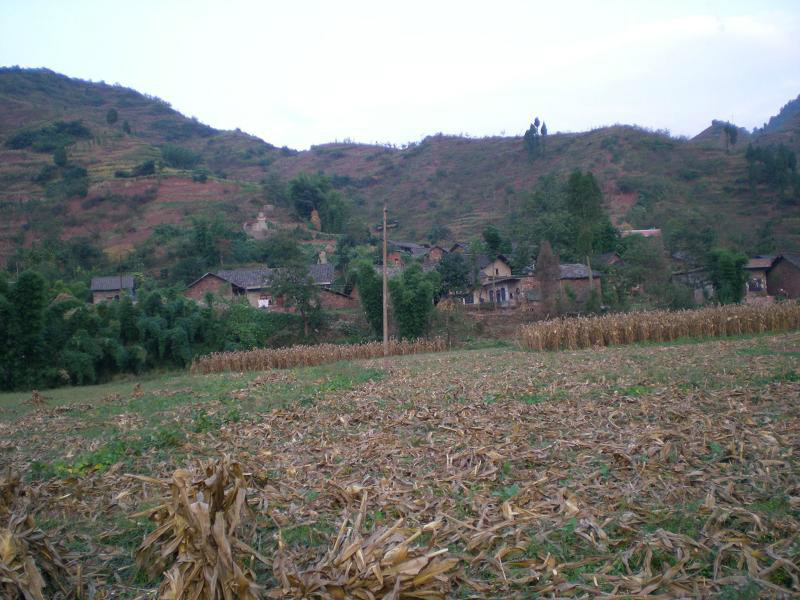 坳田自然村(扎西鎮大山村民委員會下轄自然村)