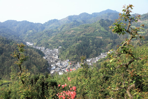 賣花漁村