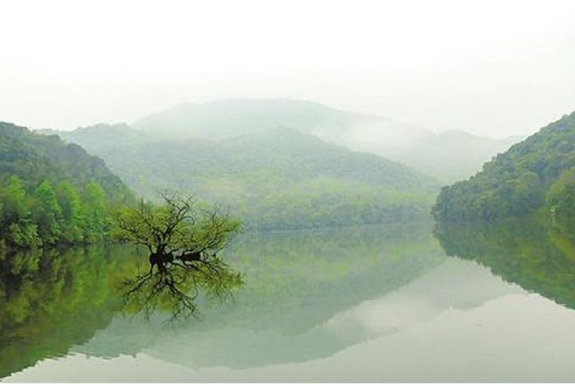 龍井湖