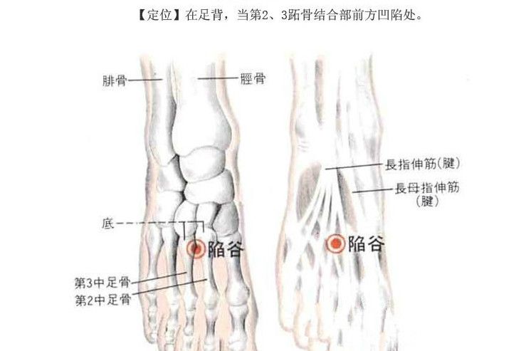 陷谷穴(陷骨)