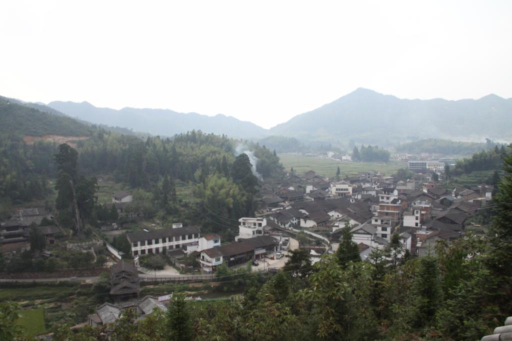 茶林村(安徽省蕪湖市南陵縣家發鎮茶林村)