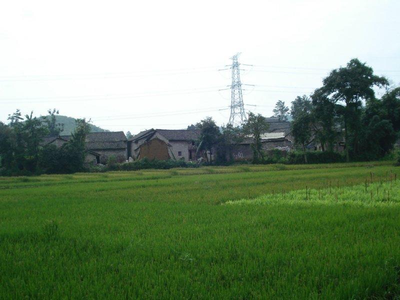 小寨自然村(雲南曲靖羅平縣板橋鎮玉馬村委會小寨自然村)