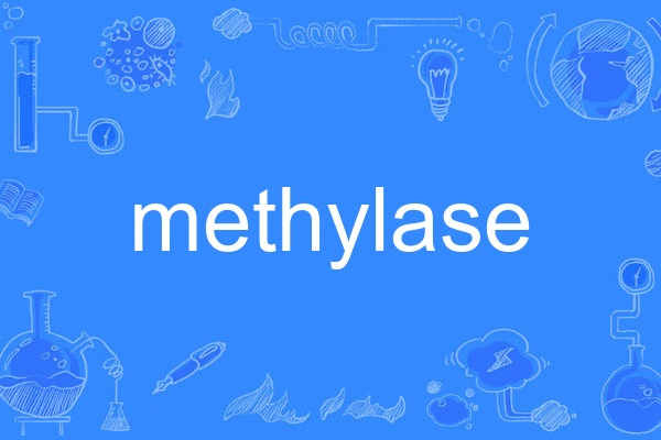 methylase