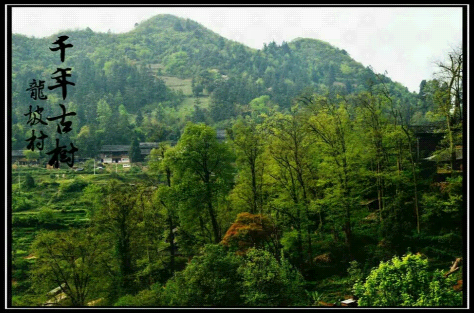 龍坡村(貴州黔東南自治州丹寨縣龍坡村)