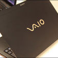 VAIO X