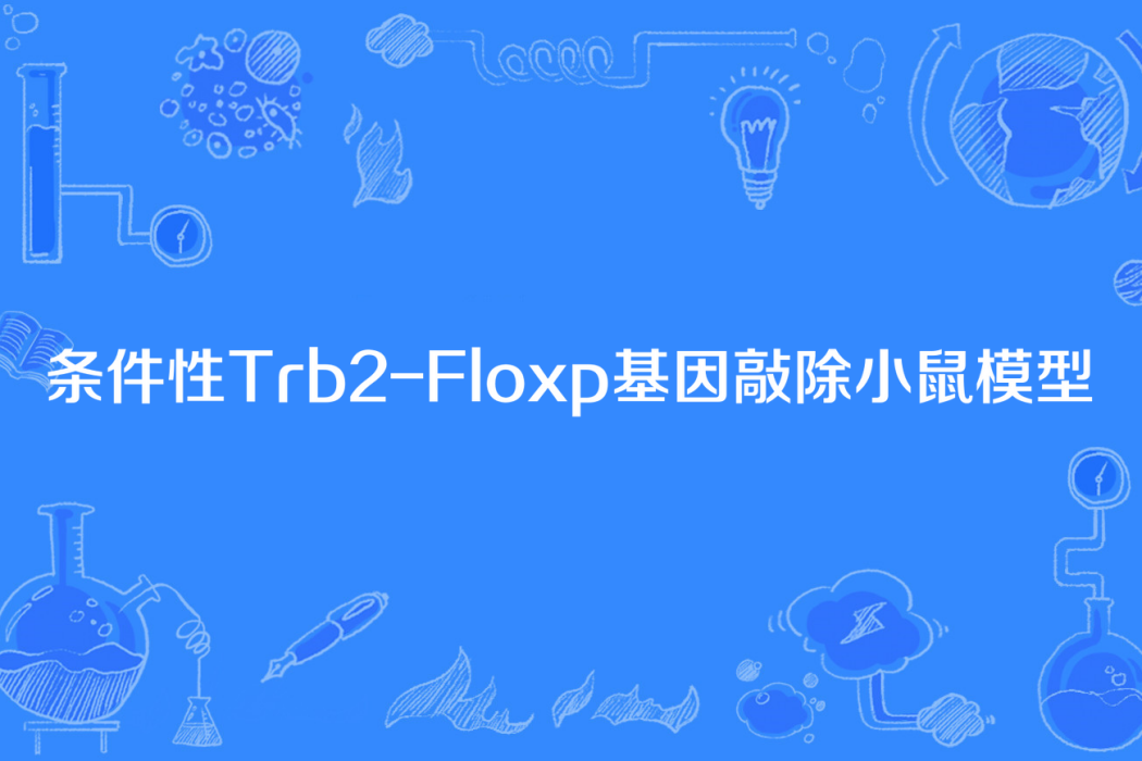 條件性Trb2-Floxp基因敲除小鼠模型