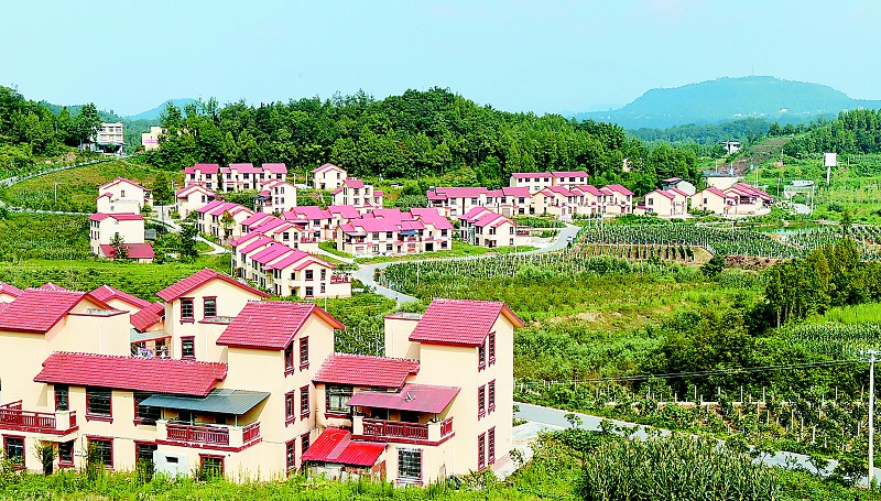 安居村(雲南省昭通巧家縣崇溪鄉安居村)