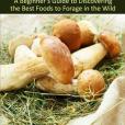 Foraging: A Beginner\x27s Guide to Discovering the Best Foods to Forage in the Wild