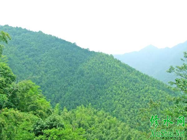 梅山森林公園