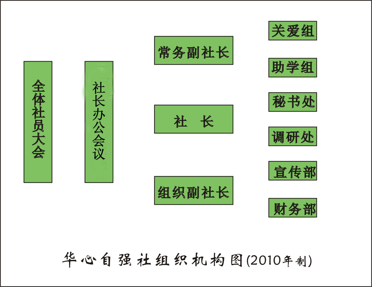 華心自強社組織機構圖