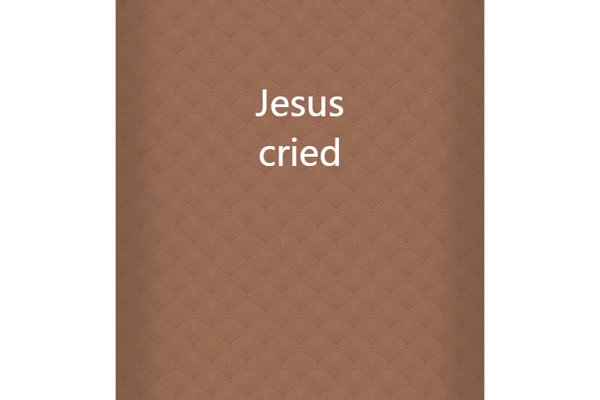 Jesus cried