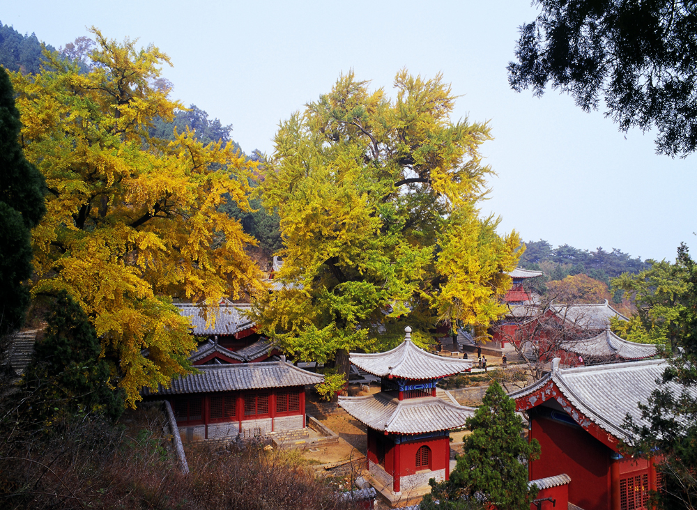 下肖家溝村