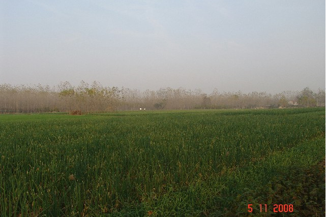 安集牌坊遺址