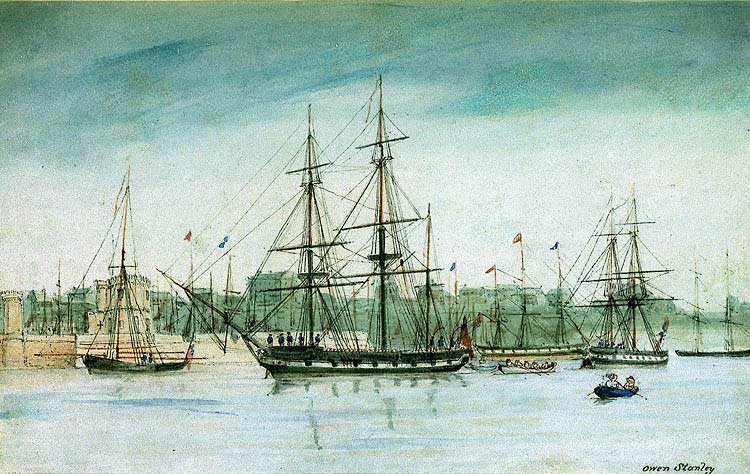 小獵犬號在悉尼 1837年