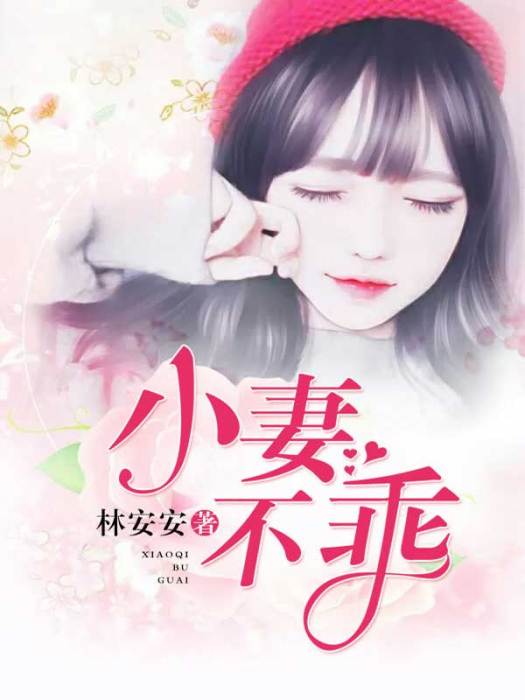 小妻不乖(林安安創作的網路小說)