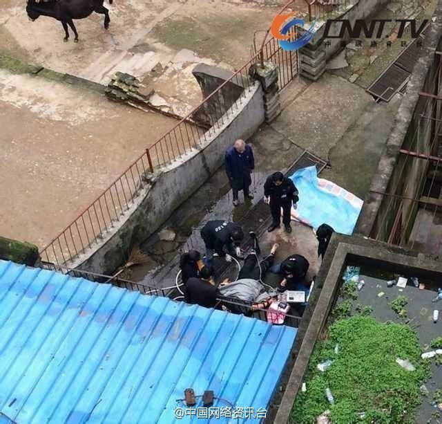 3·27江西動物園老虎咬死飼養員事件