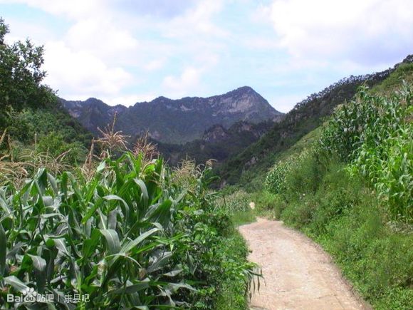 馮盧村