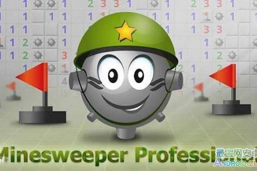 Minesweeper Professional