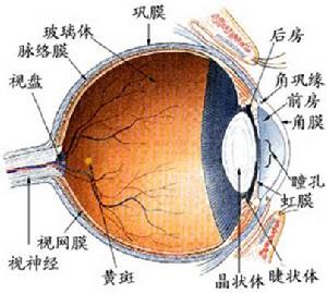 鞏膜病變